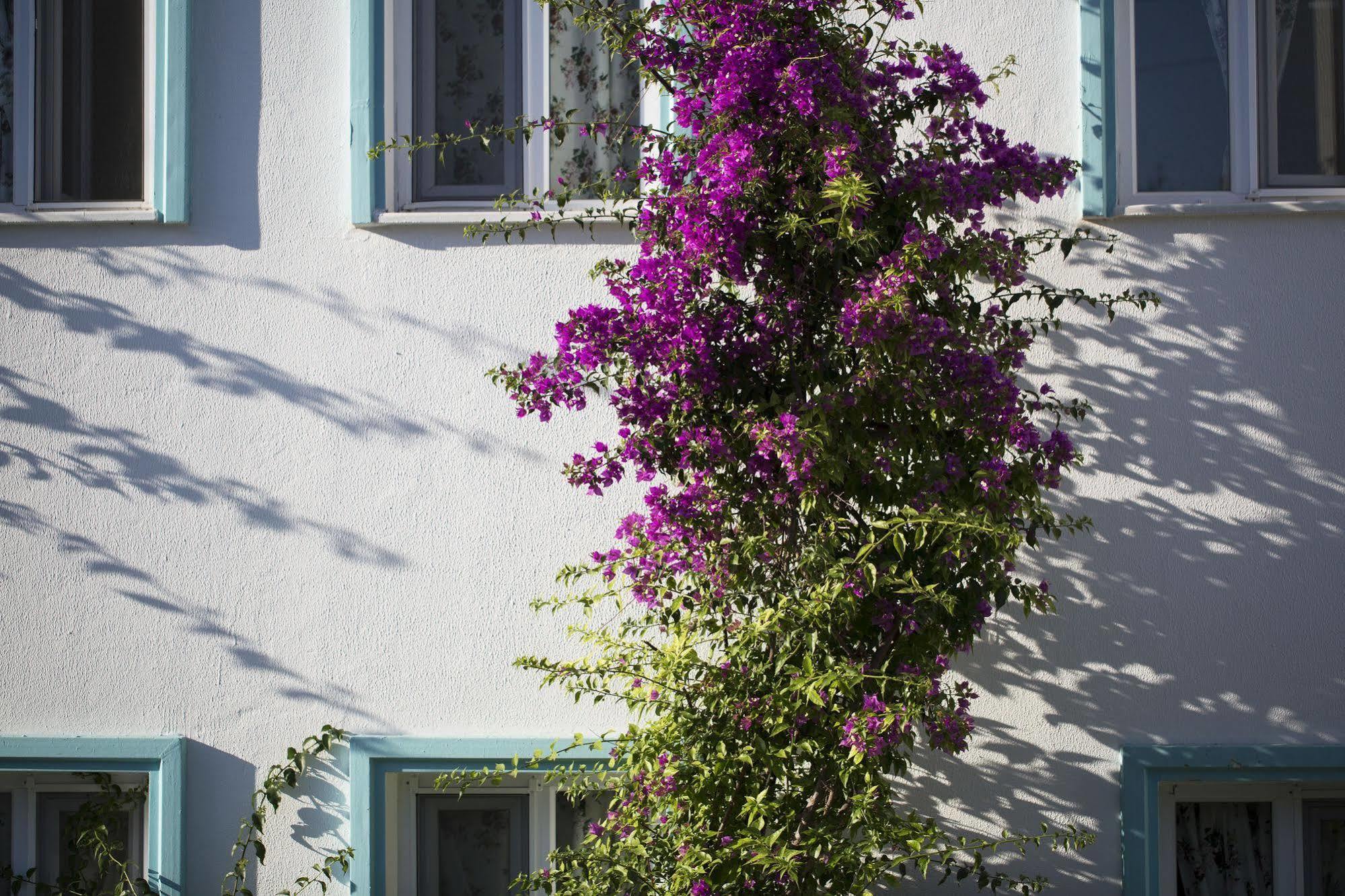 Istanbul Hotel Bodrum Turkbuku Exterior photo